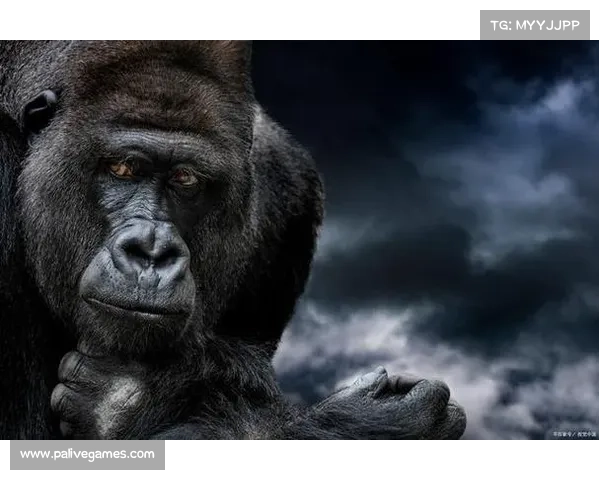 尽管我们都知道欧国联的前身是什么，但它的发展历程值得深度探讨与回顾